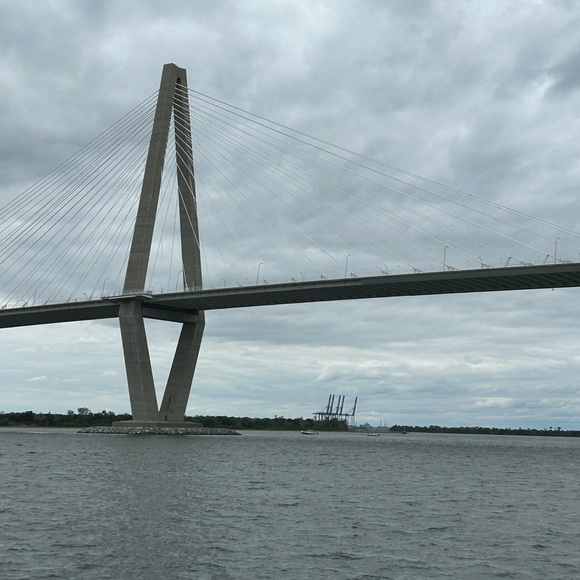 Meet your Posher, Abby - Picture 2 of 10